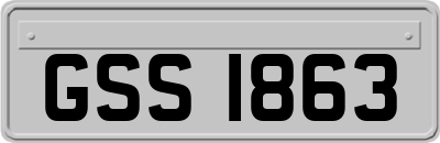GSS1863