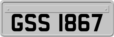GSS1867