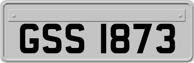 GSS1873