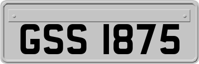 GSS1875