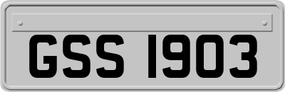 GSS1903