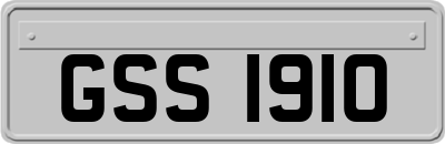 GSS1910