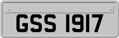 GSS1917
