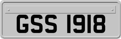 GSS1918