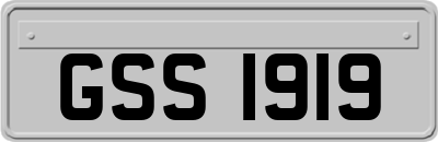 GSS1919