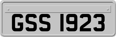 GSS1923
