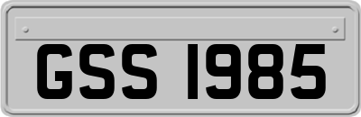 GSS1985