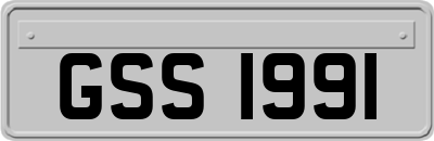 GSS1991