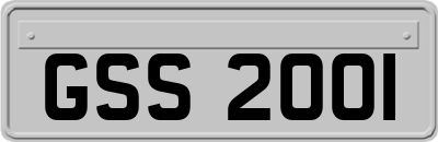 GSS2001