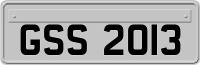 GSS2013