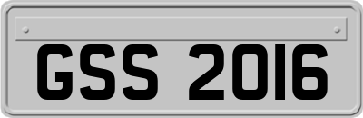 GSS2016