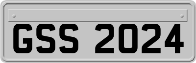 GSS2024
