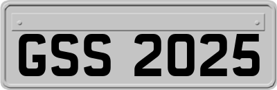 GSS2025
