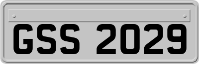 GSS2029