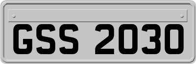 GSS2030