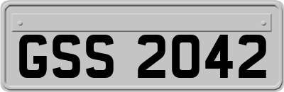 GSS2042