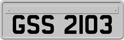 GSS2103