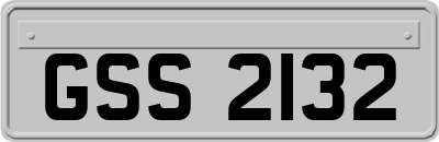 GSS2132