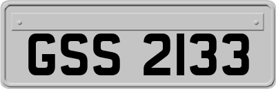 GSS2133