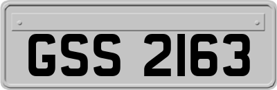 GSS2163