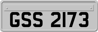 GSS2173