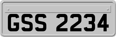 GSS2234