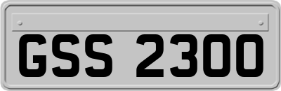 GSS2300