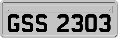 GSS2303