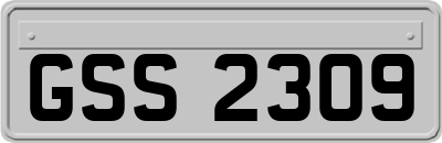 GSS2309