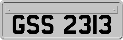 GSS2313