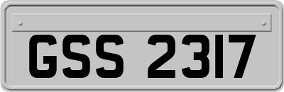 GSS2317