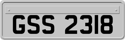 GSS2318