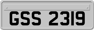 GSS2319