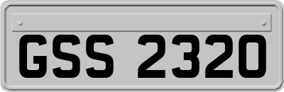 GSS2320
