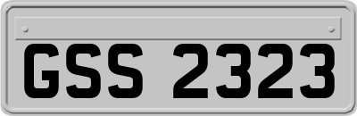 GSS2323