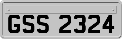 GSS2324