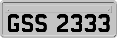 GSS2333
