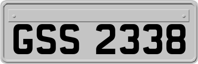 GSS2338