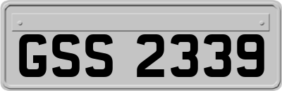 GSS2339