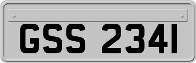 GSS2341