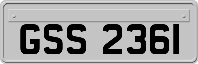 GSS2361