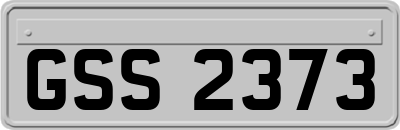 GSS2373