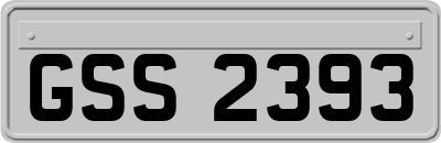 GSS2393