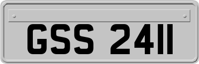 GSS2411