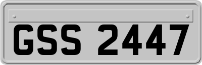 GSS2447