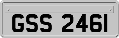 GSS2461