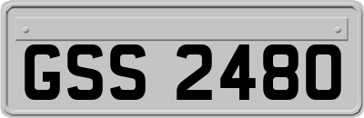 GSS2480