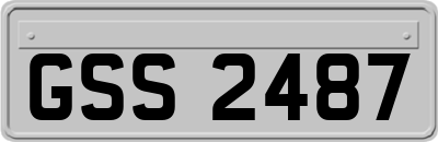 GSS2487