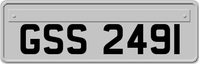 GSS2491