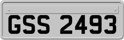 GSS2493